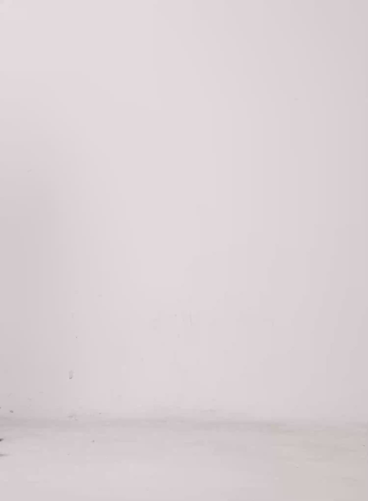 Classic Pleated Skirt IL528