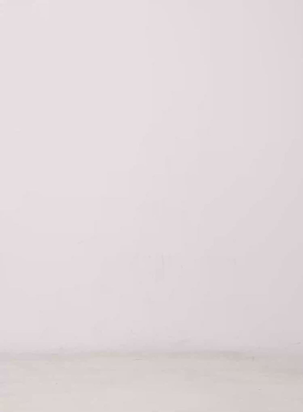 Tulle Asymmetric Midi Skirt IU525