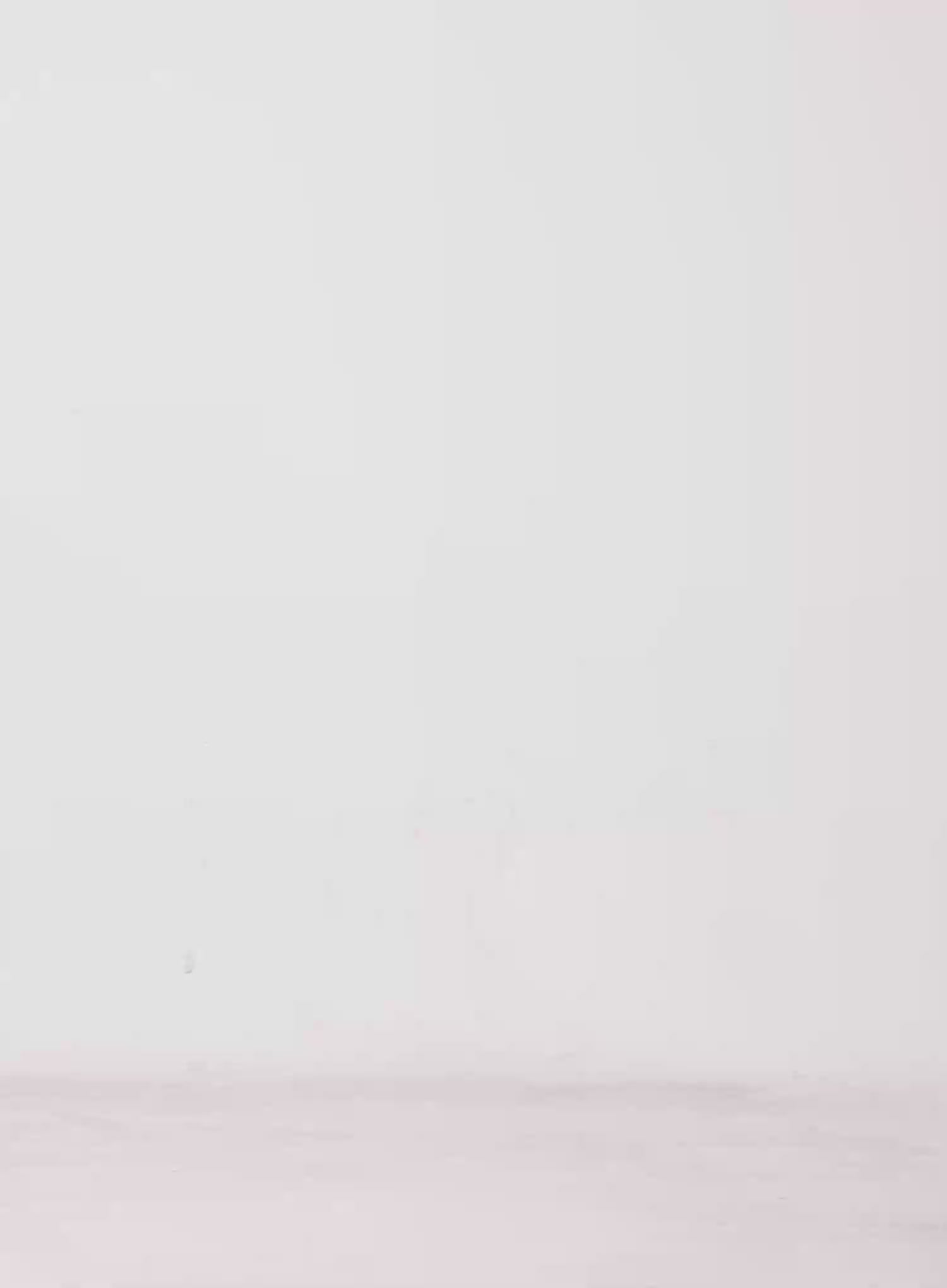 Pleated Distressed Denim Mini Skort CL501